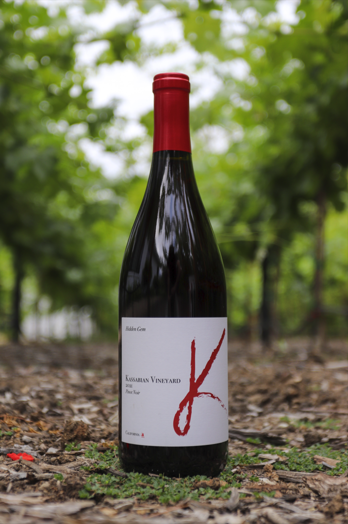 Hidden Gem | Pinot Noir | 2022 Vintage